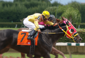 horserace-image